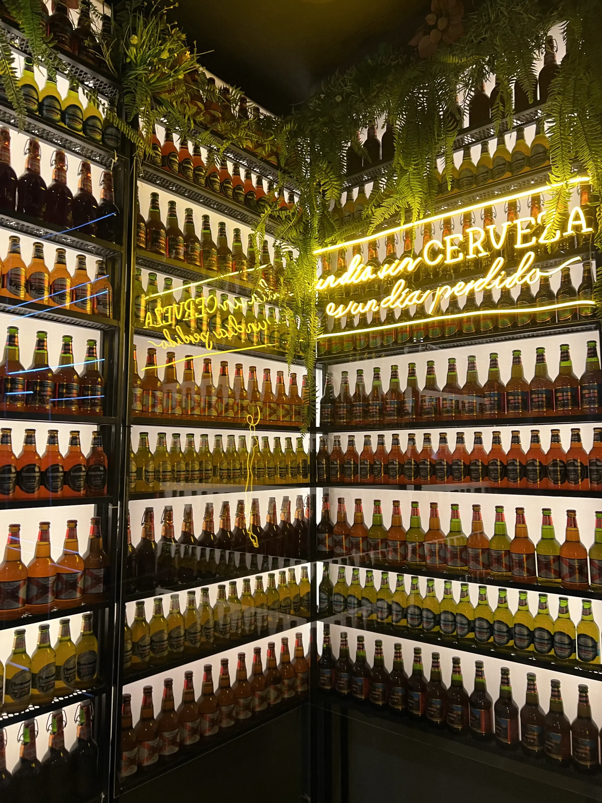 Dégustation de bières